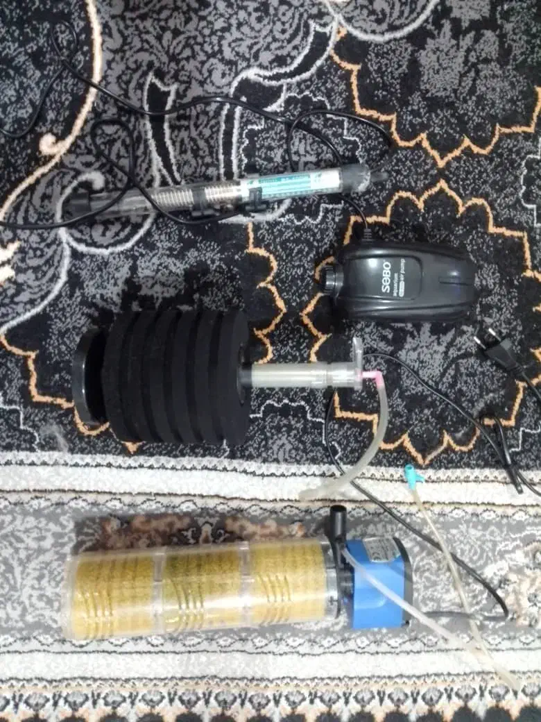 شیشه اکواریوم ۱۲۰ لبتری شیشه خم|ماهی|نوشهر, |دیوار