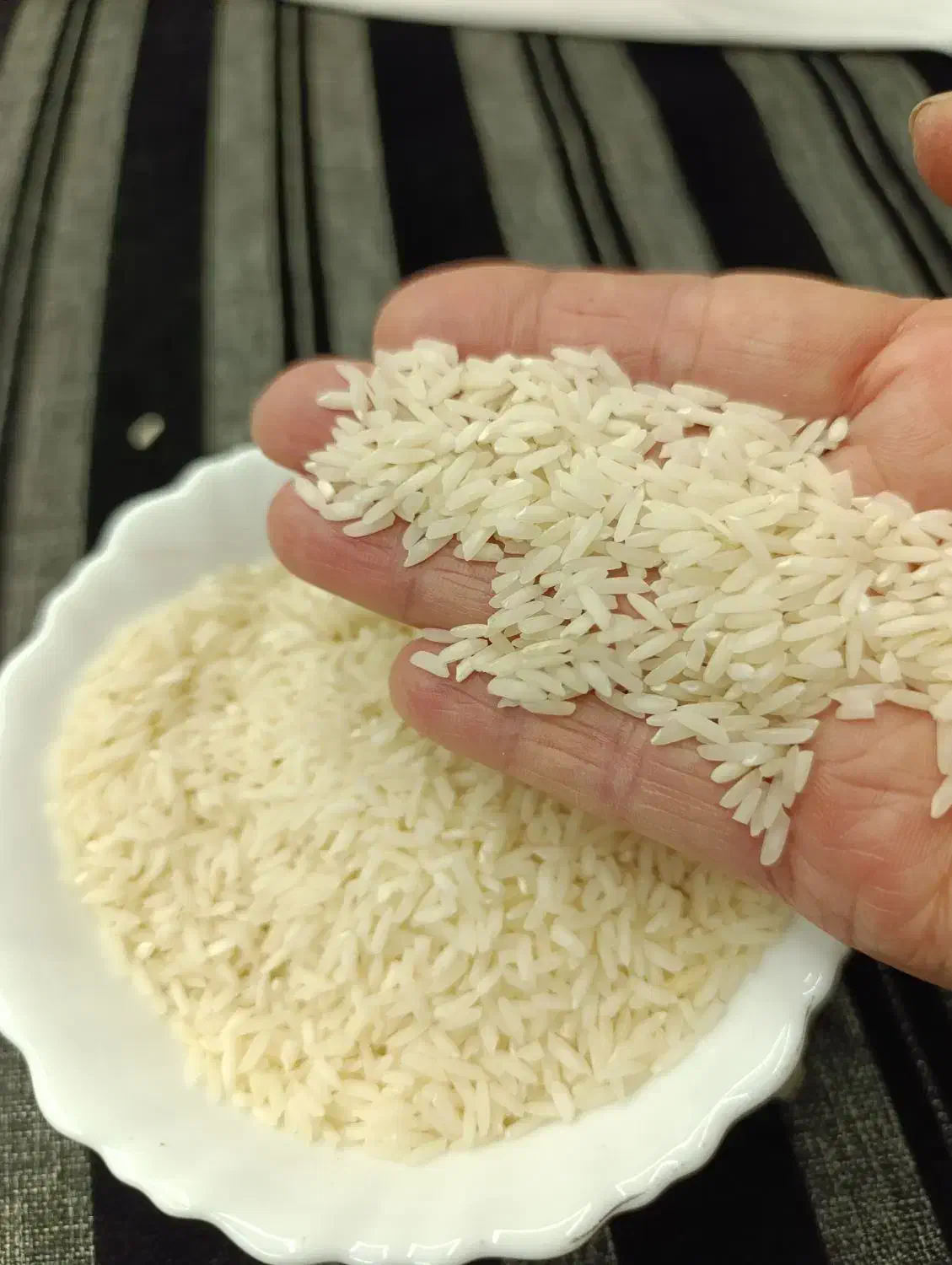 برنج طارم هاشمی|خوردنی و آشامیدنی|بندر انزلی, نامجو|دیوار