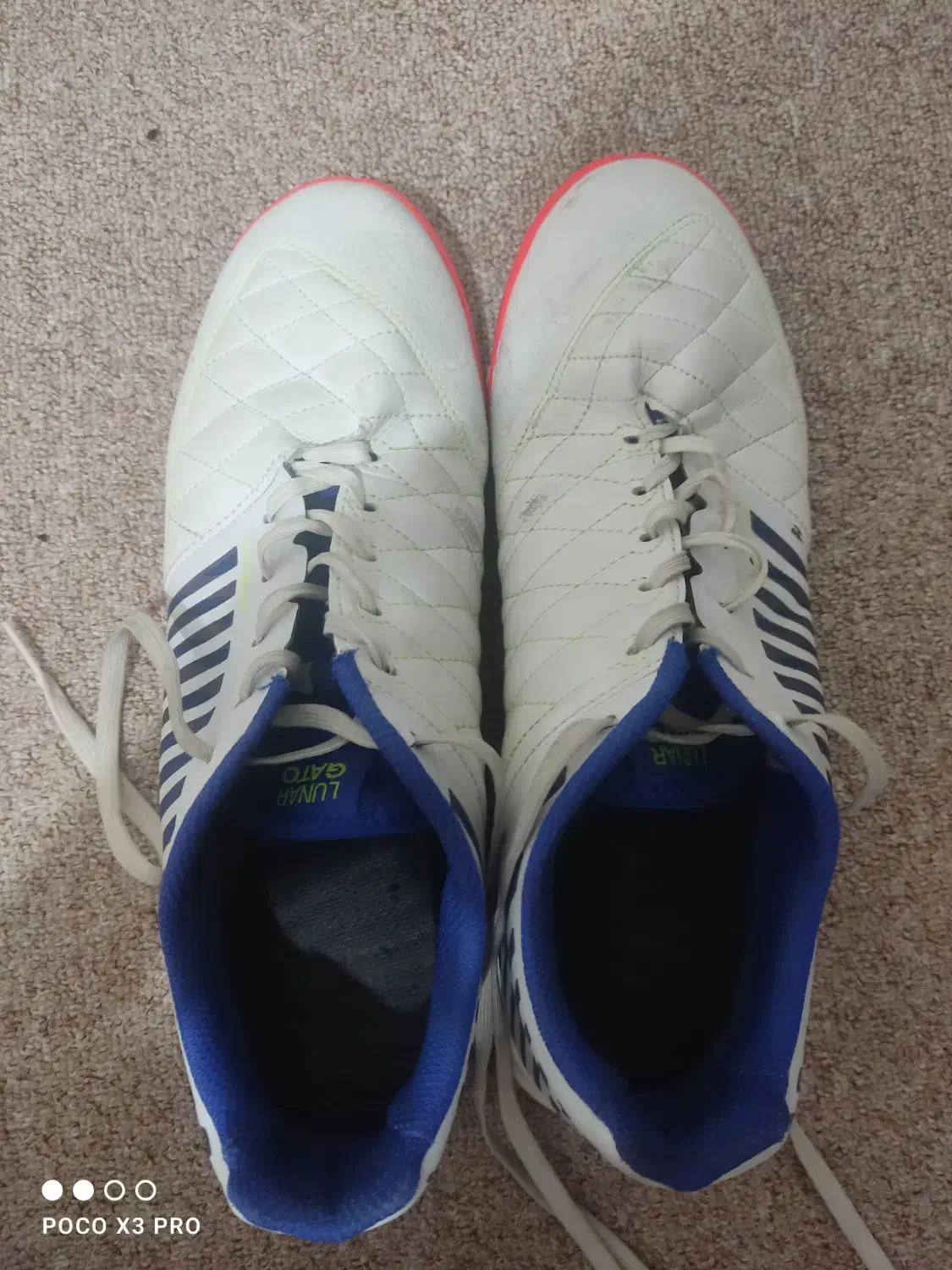 کفش سالن لونار گتو|کیف، کفش، کمربند|نیشابور, بزرگمهر|دیوار