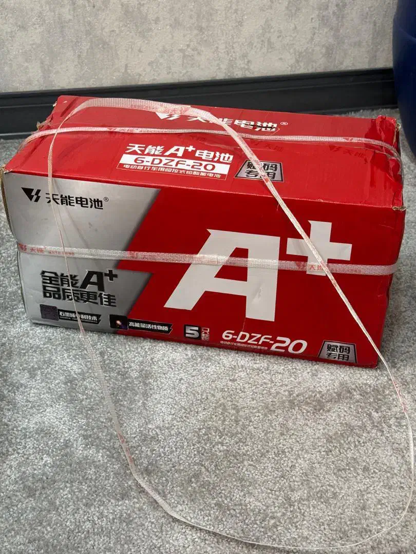 ۲ عدد موتور سیکلت برقی با باتری صفر و پلمپ|موتورسیکلت|شیراز, قصرالدشت|دیوار