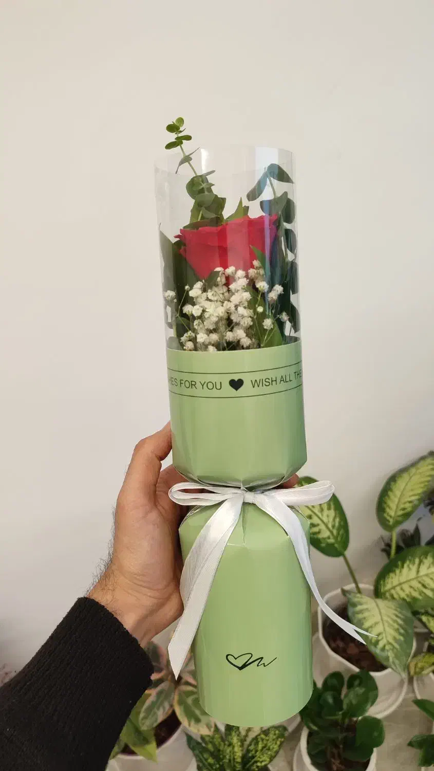 گل رز/تک شاخه/بوکت|گل و گیاه طبیعی|قم, میرزائیه|دیوار