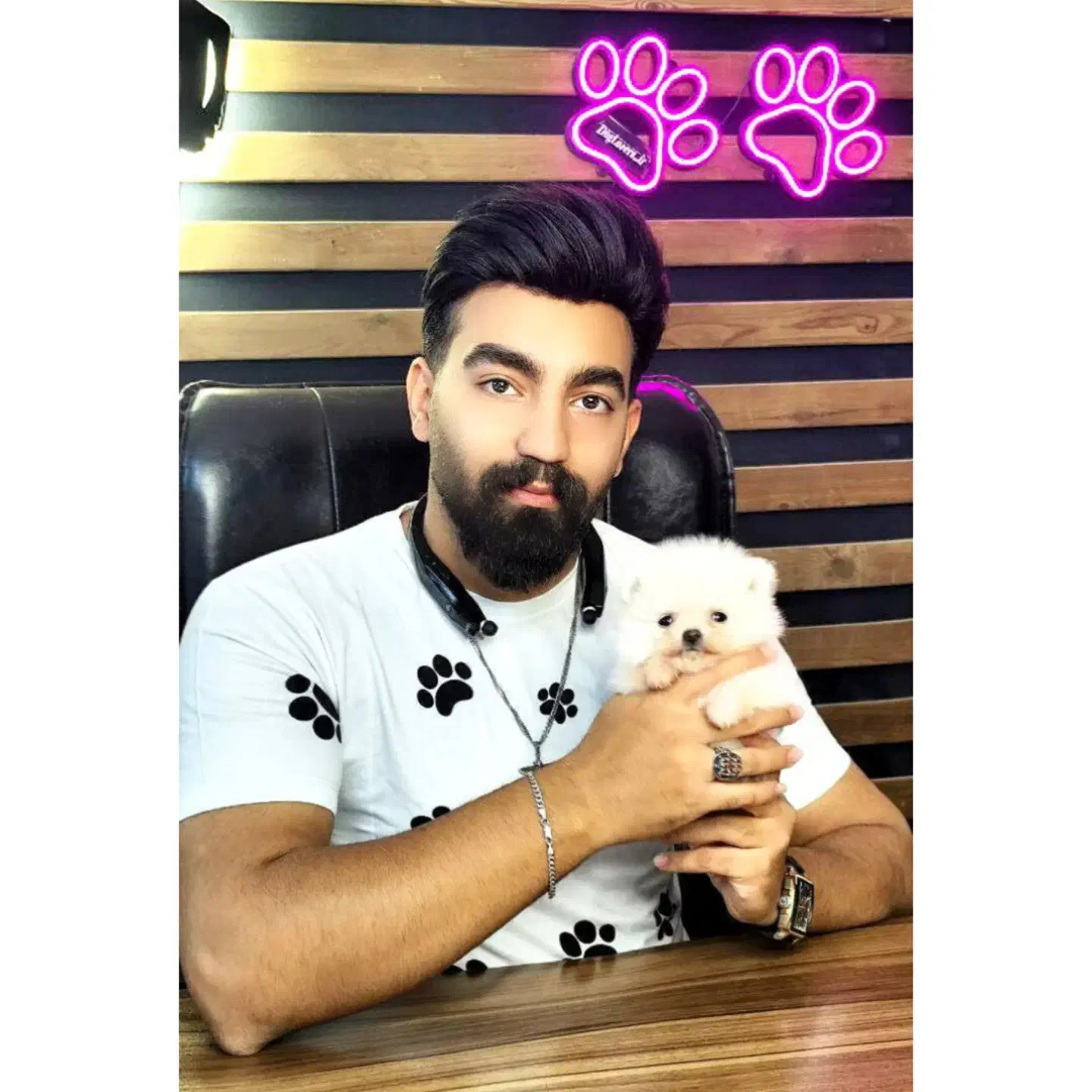 سگ جیبی /// پامرانین خرسی توی پودل عروسکی شیتزوفلت|سگ|تهران, فردوسی|دیوار