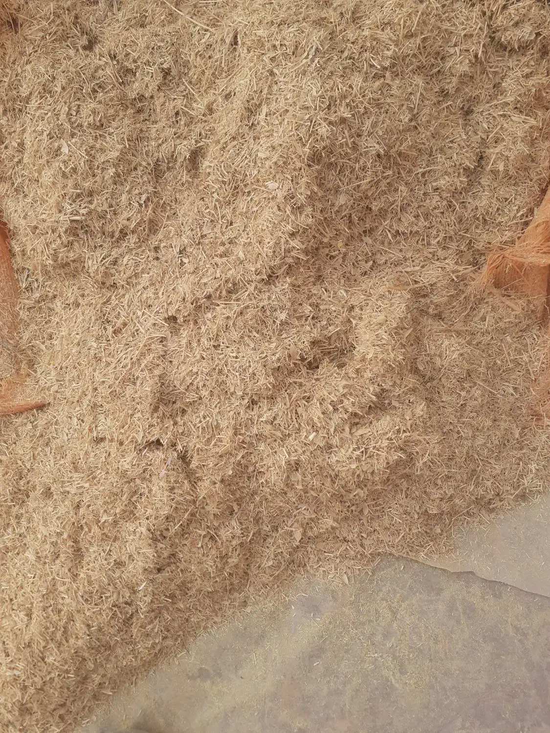 کاه گرگرو|لوازم جانبی حیوانات|کوهدشت, |دیوار