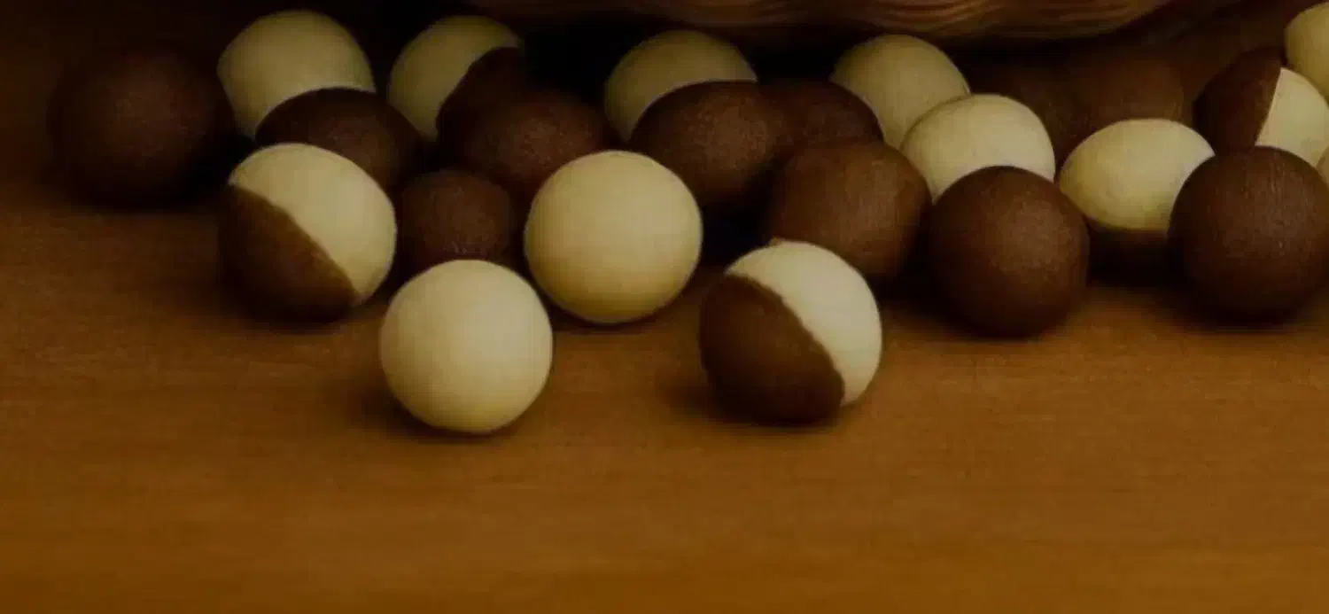 کشک و قره قروت    دورنگ|خوردنی و آشامیدنی|شیراز, بازار|دیوار