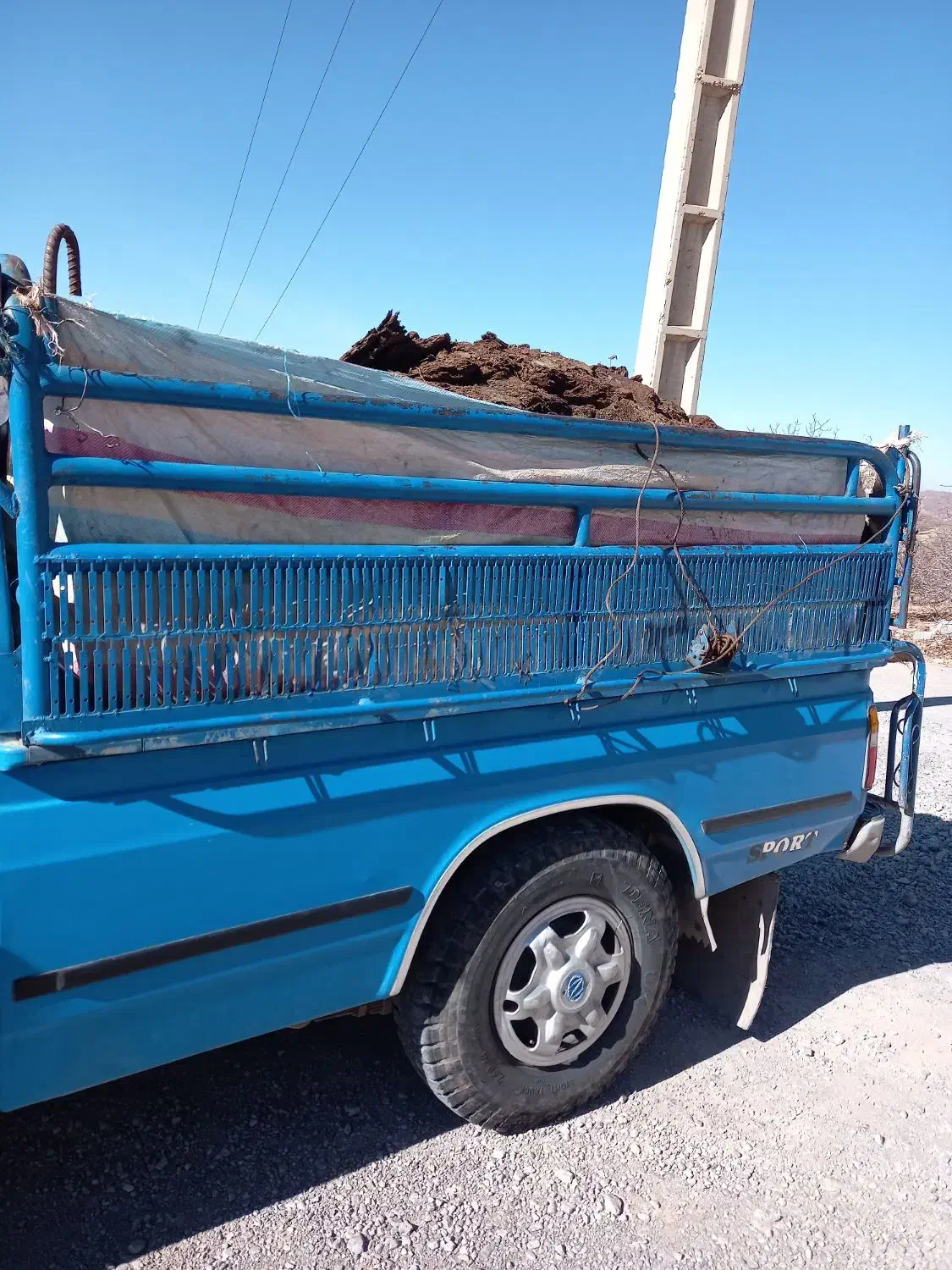 کود حیوانی وگاوی|گل و گیاه طبیعی|پاتاوه, |دیوار