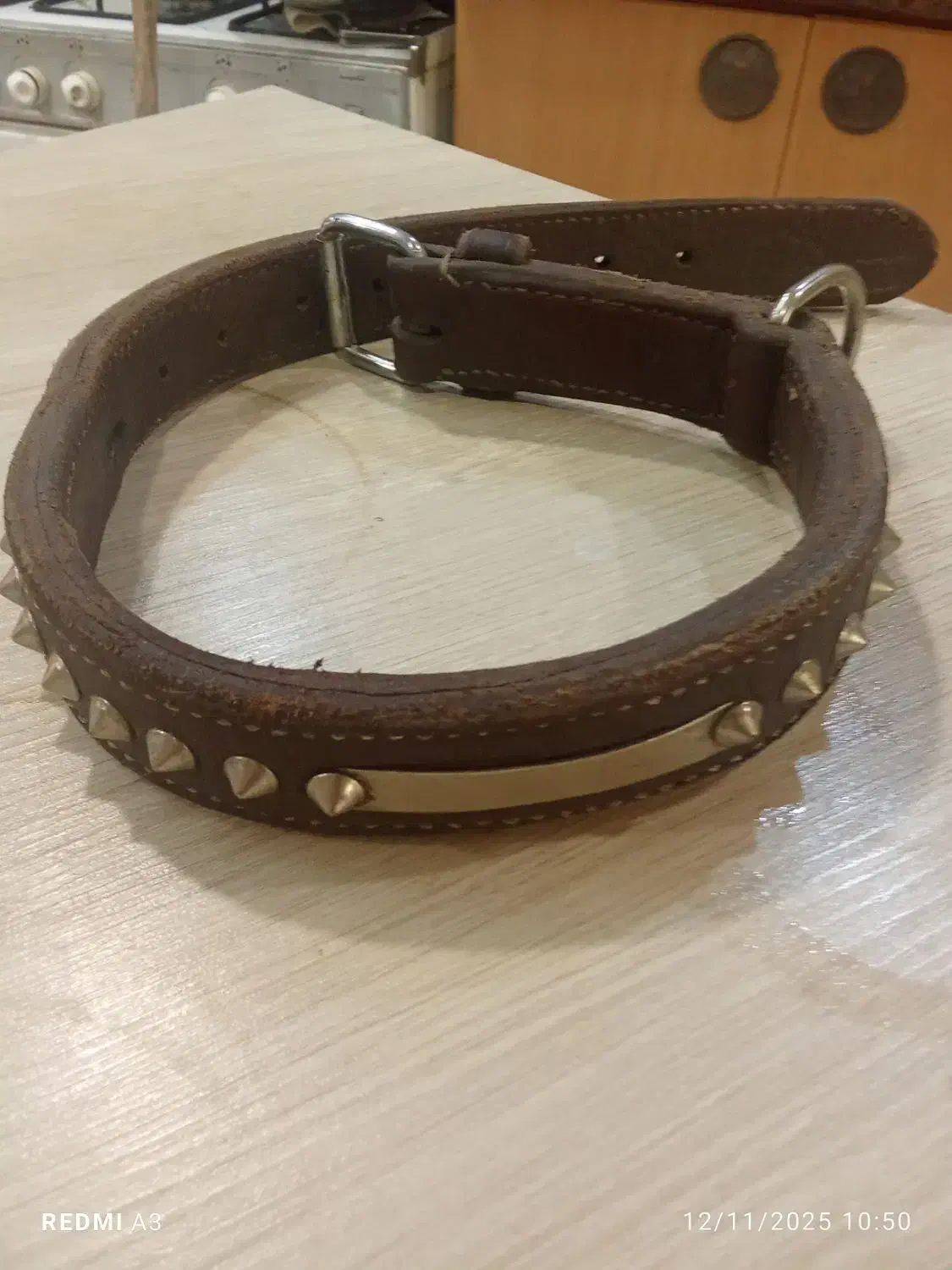 فروش قلاده سگ نگهبان|لوازم جانبی حیوانات|شیراز, دکتر حسابی|دیوار