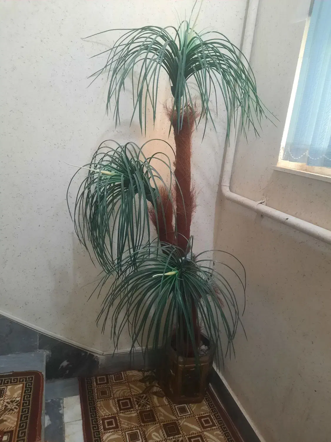 درختچه مصنوعی|گل مصنوعی|اردبیل, |دیوار