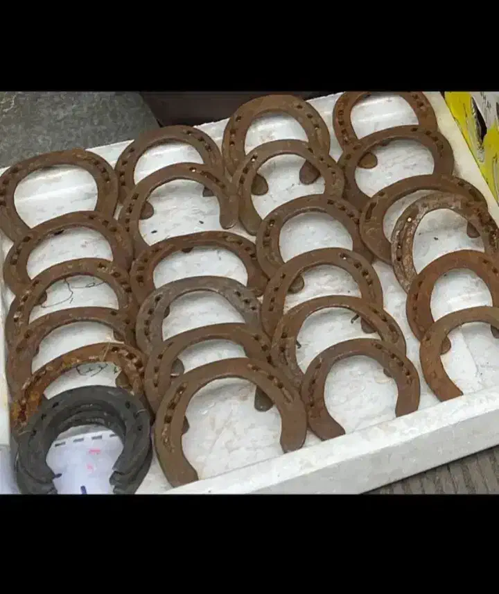 نعل کارکرده ۵۰ عدد|اسب و تجهیزات اسب‌سواری|سربند, |دیوار