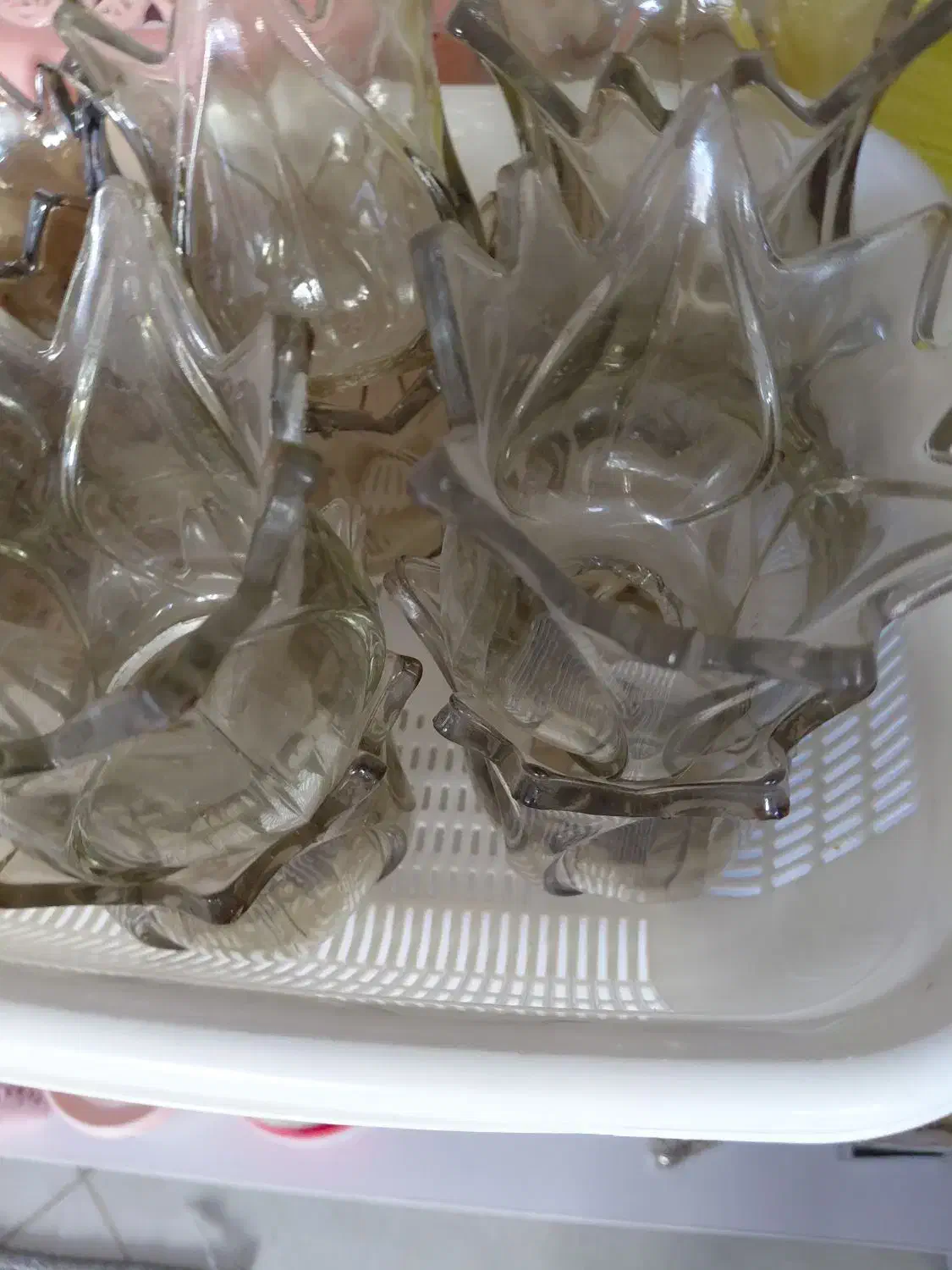 لاله لوستر۸عدد|لوستر و چراغ آویز|شهریار, شهرک وائین|دیوار