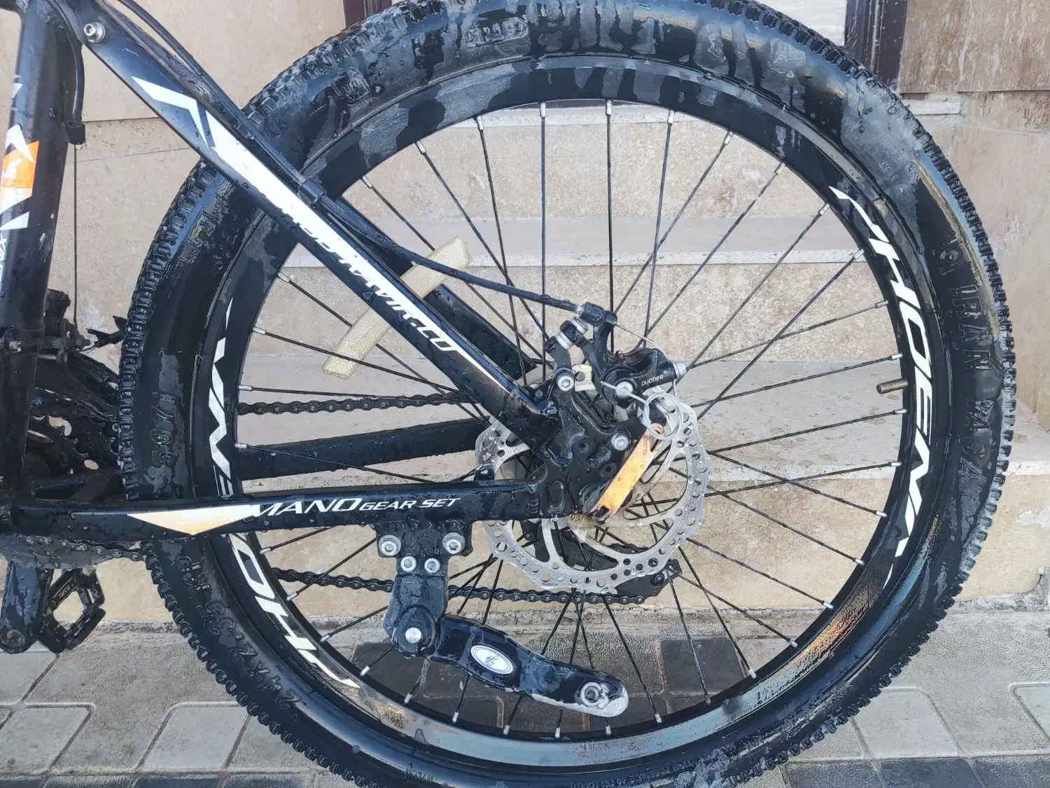 دوچرخه فونیکس 24 درجه یک|دوچرخه، اسکیت، اسکوتر|تربت‌حیدریه, شهرک ولیعصر|دیوار