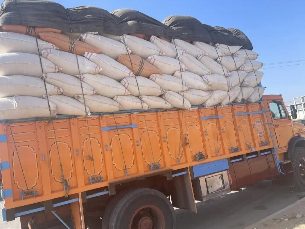 کاه گندم نرم|عمده‌فروشی|مشهد, مهدی آباد|دیوار