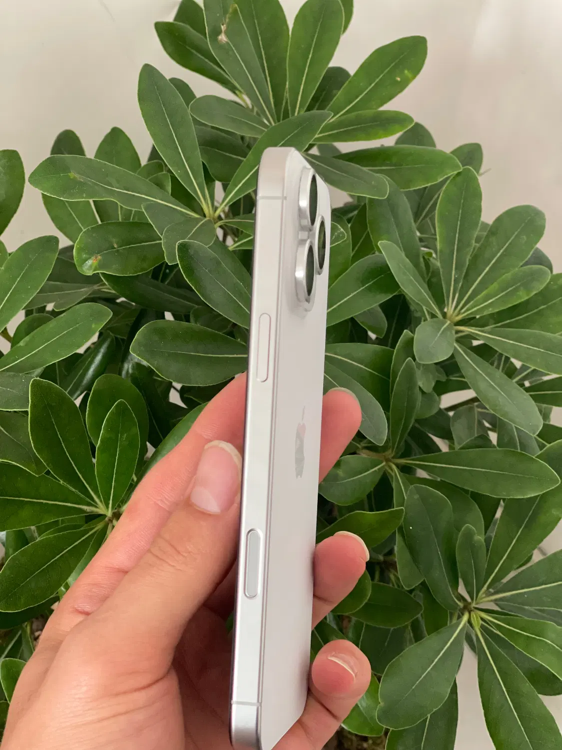 16promax white titanium|موبایل|هشتگرد, شهرک بعثت|دیوار