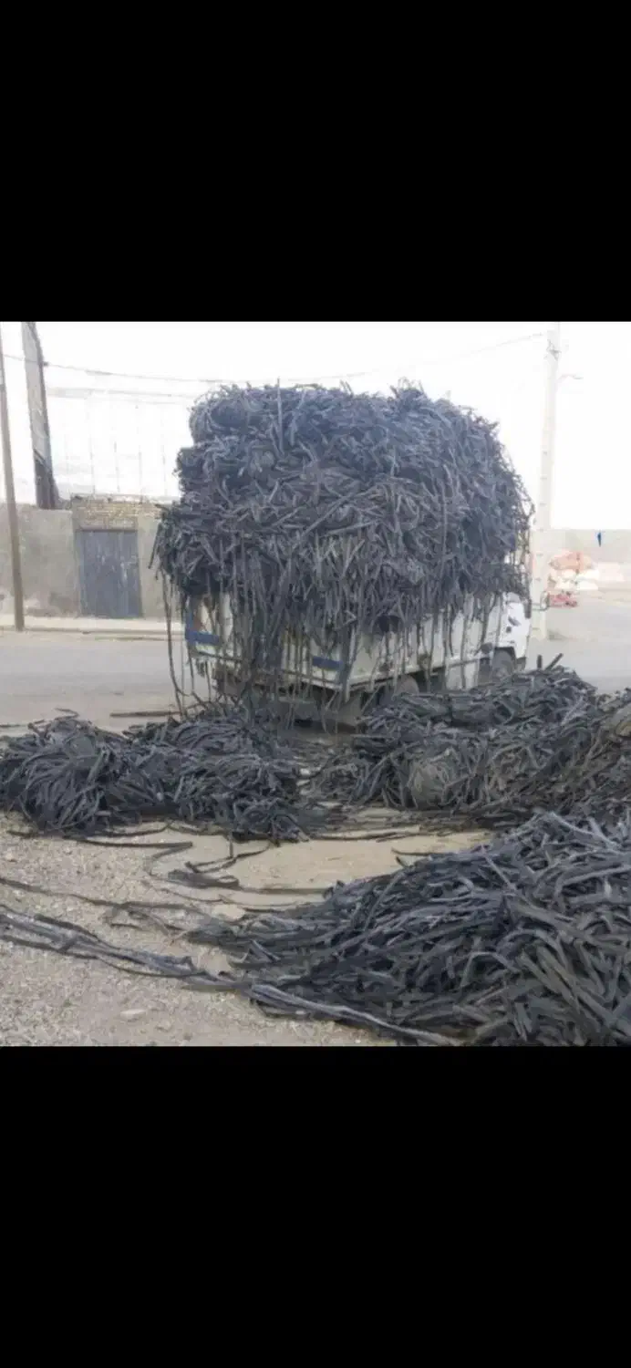 نوار تیپ|خدمات باغبانی و درختکاری|برازجان, |دیوار