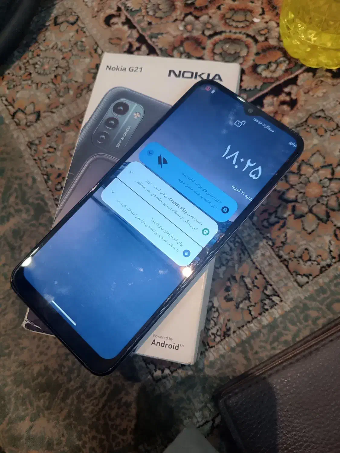 Nokia G21|موبایل|بومهن, |دیوار