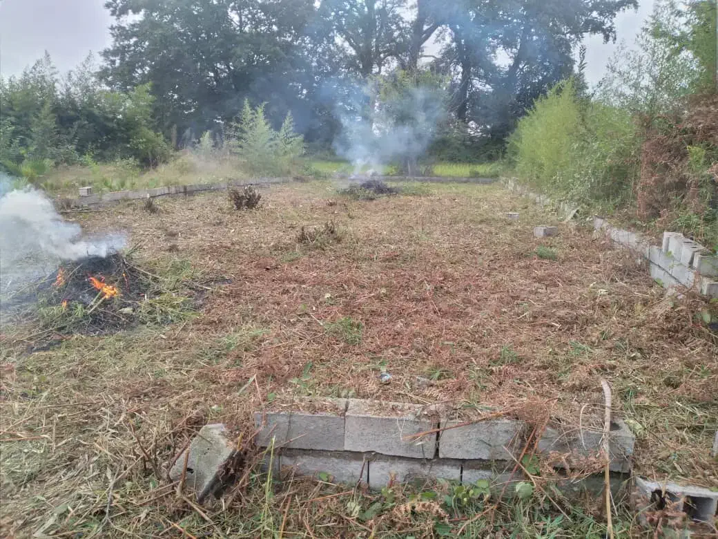 فروش زمین ۲۱۷ متری|فروش زمین و ملک کلنگی|کومله, |دیوار