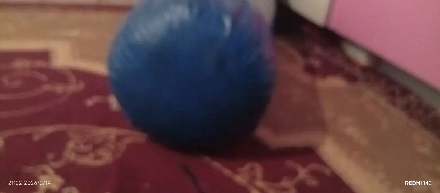 جنت مکان|تجهیزات ورزشی|گتوند, |دیوار