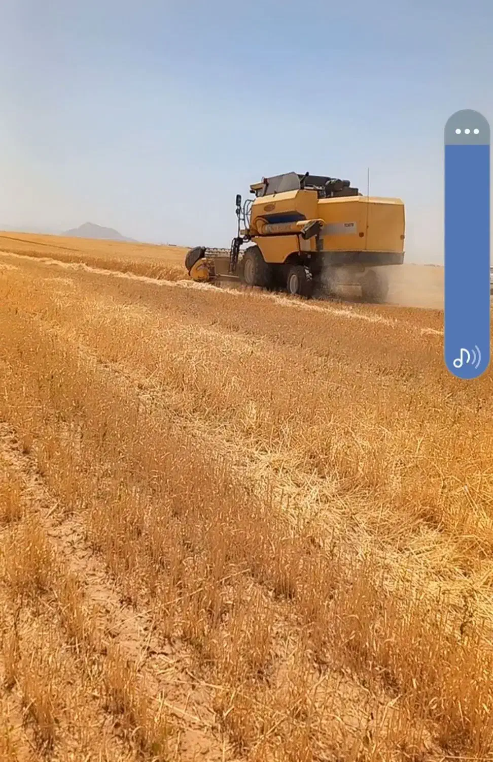 زمین کشاورزی|فروش زمین و ملک کلنگی|رزن, |دیوار