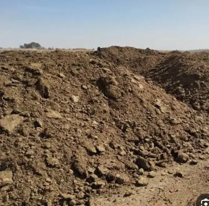 کود گاوی پر بار و مرغوب برای باغات و زمین کشاورزی|خدمات باغبانی و درختکاری|مشهد, فرودگاه|دیوار