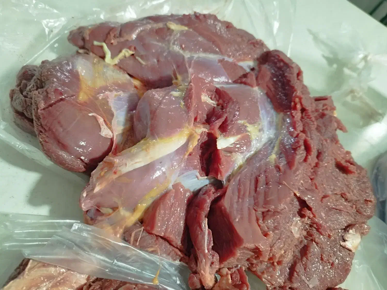 گوشت گوساله و گوسفند|خوردنی و آشامیدنی|باقرشهر, |دیوار