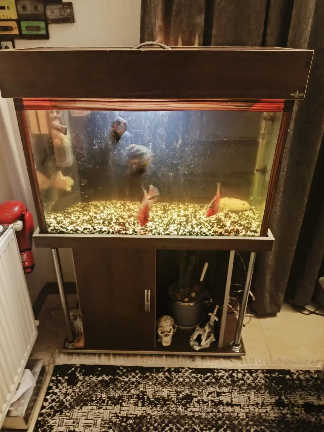 آکواریوم|ماهی|اندیشه, اندیشه فاز ۳|دیوار