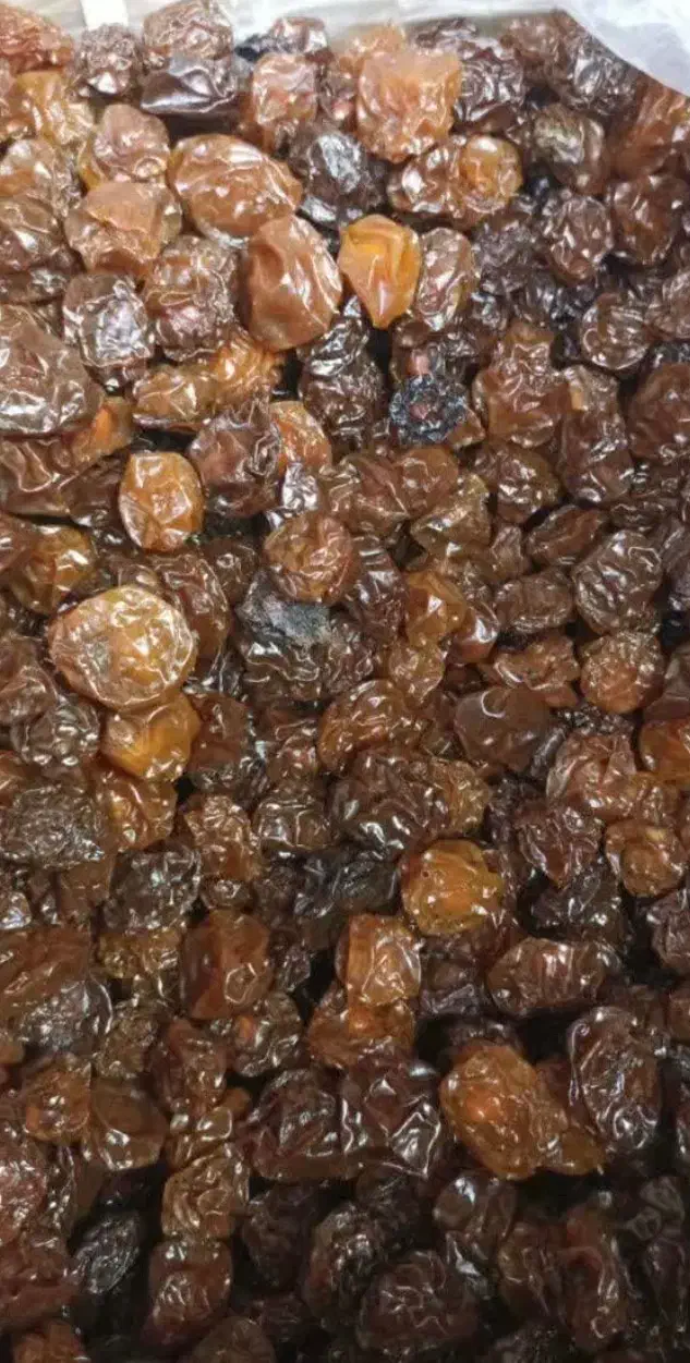آلو ..|خوردنی و آشامیدنی|قم, آزادگان|دیوار