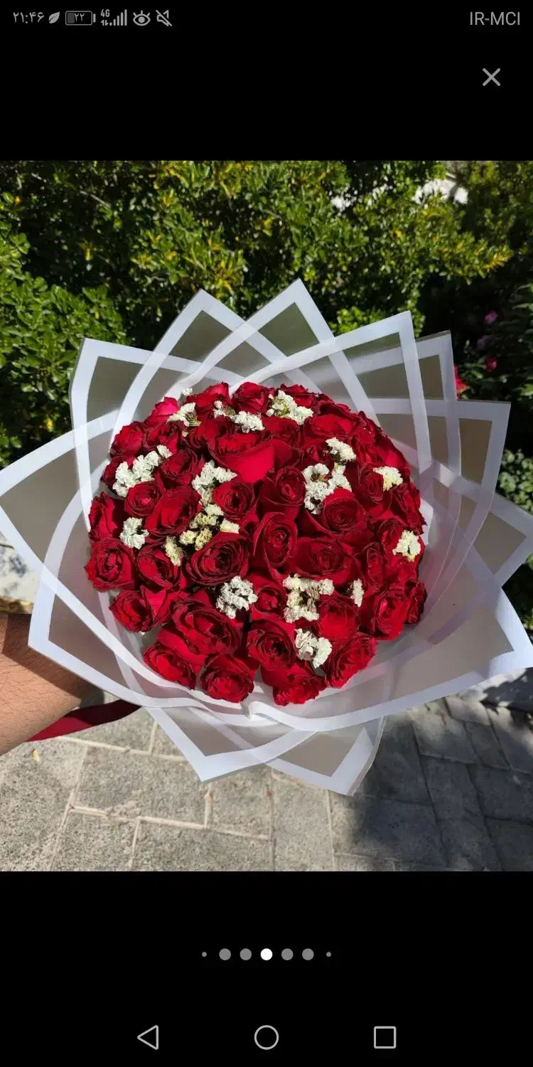 گل رز طبیعی|گل و گیاه طبیعی|مشهد, آزادشهر|دیوار