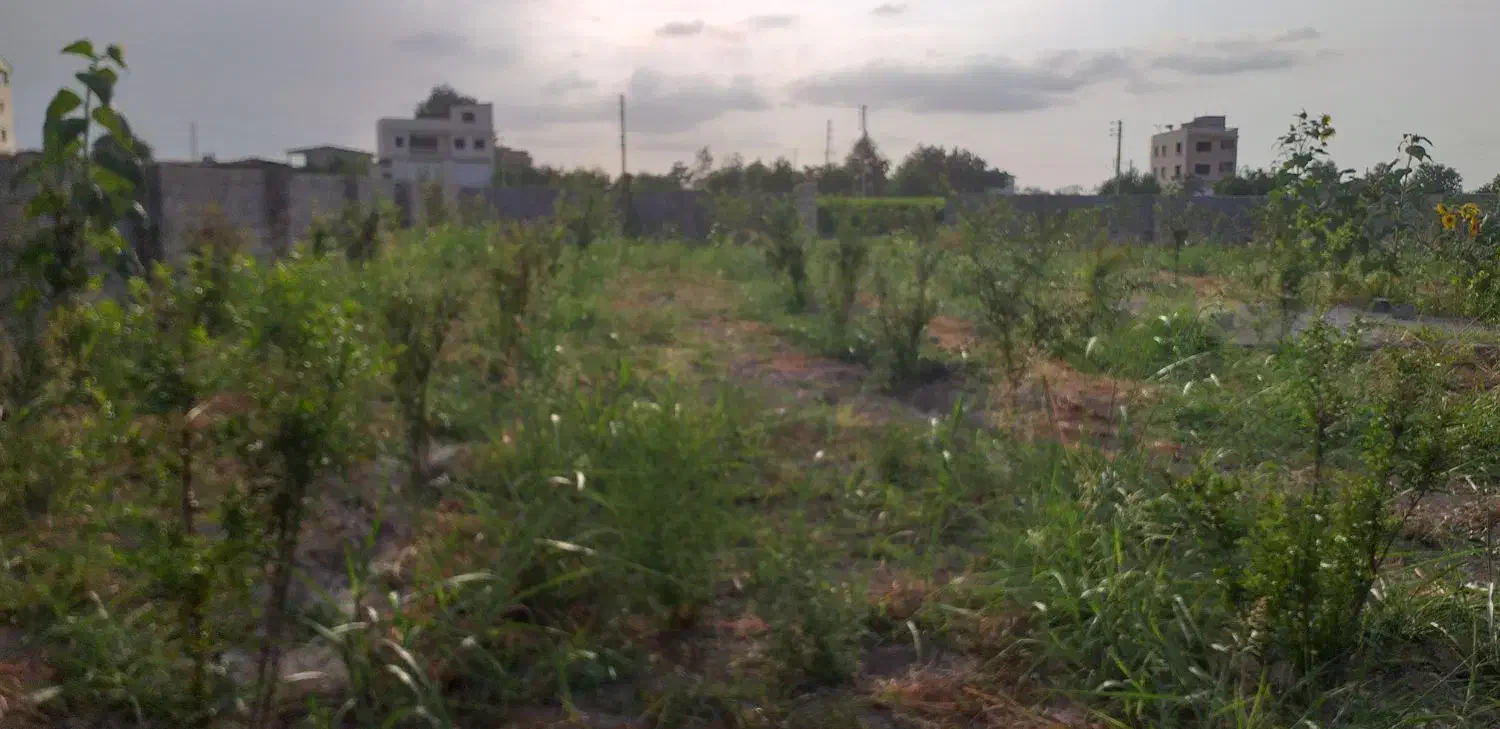 فروش باغ روستای زیبا وسرسبز والش آباد|فروش زمین و ملک کلنگی|گرگان, |دیوار