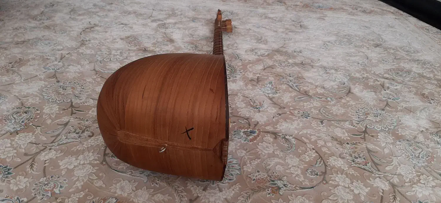 ساز قوپوز|سازهای سنتی|میانه, |دیوار