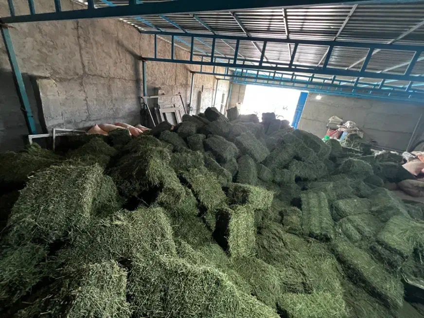 یونجه|خدمات باغبانی و درختکاری|بهبهان, |دیوار