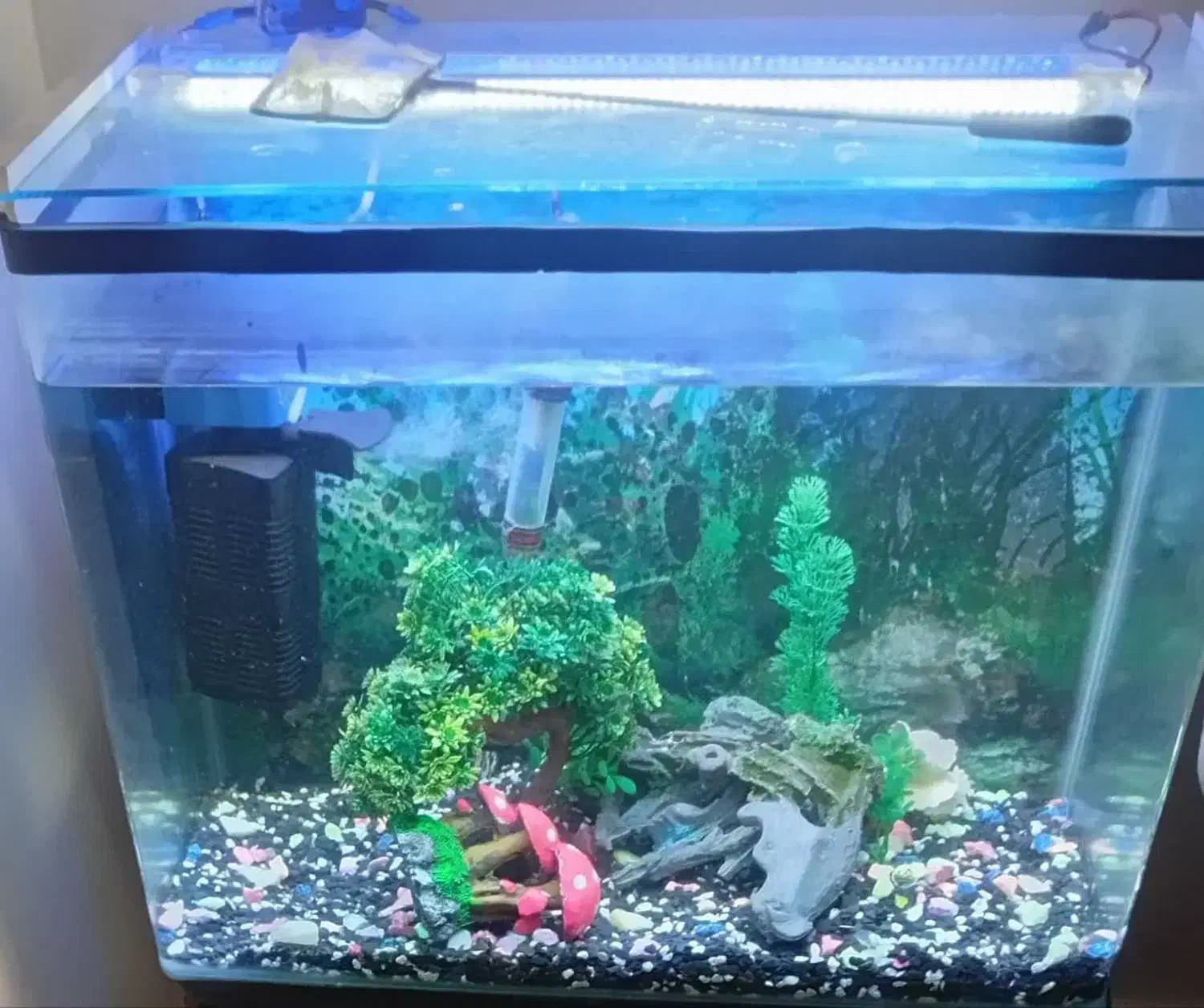 شیشه آکواریوم شرکتی خم|ماهی|تهران, قناتکوثر|دیوار