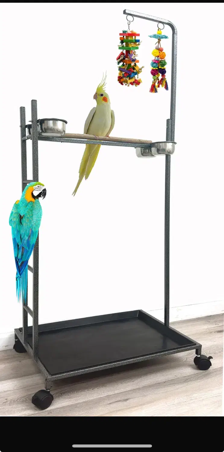 استند پرندگان|لوازم جانبی حیوانات|پاکدشت, پاکدشت (مامازند)|دیوار