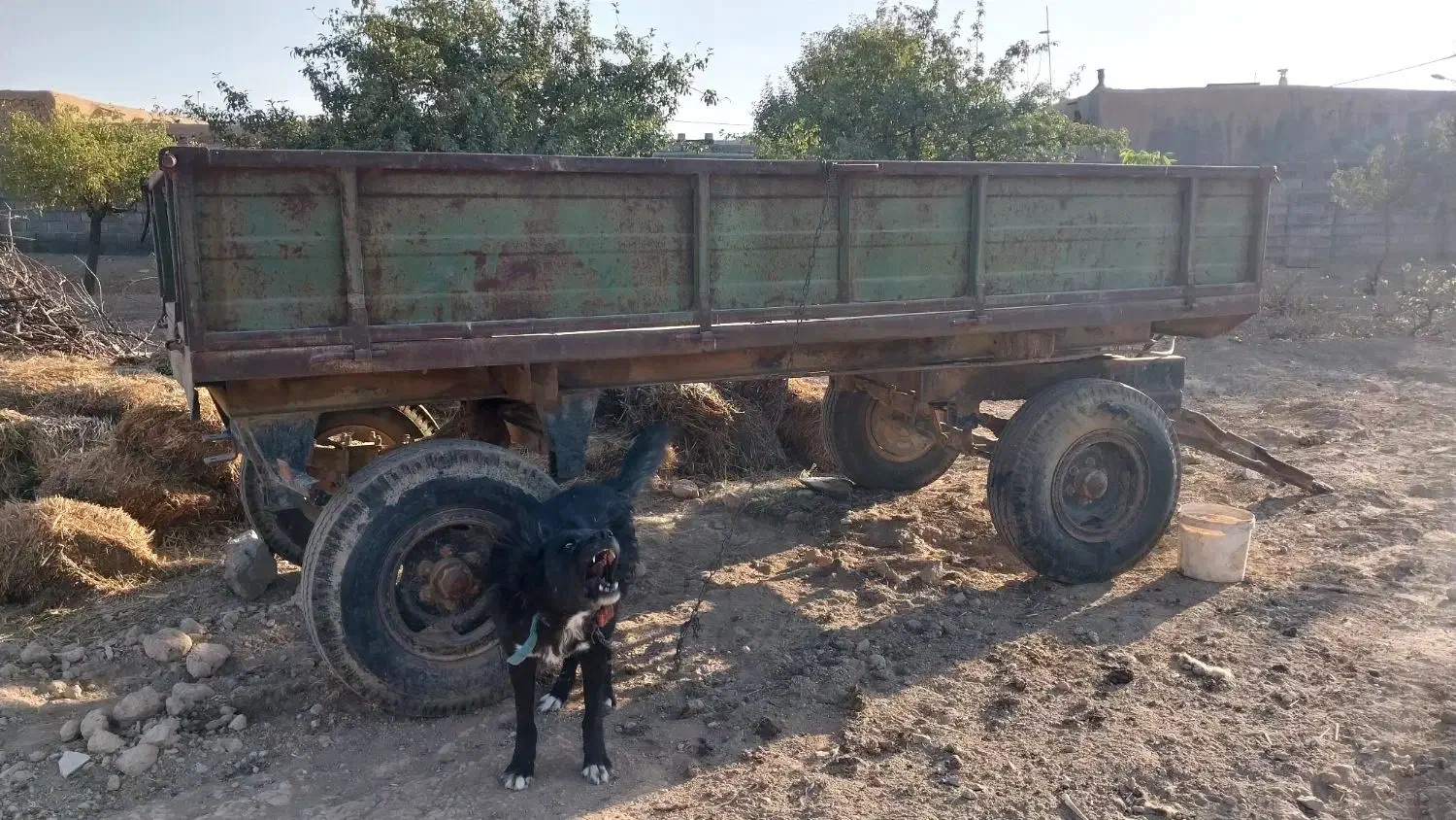 سم پاشی وتریلی وادوات|خودرو سنگین|فرمهین, |دیوار