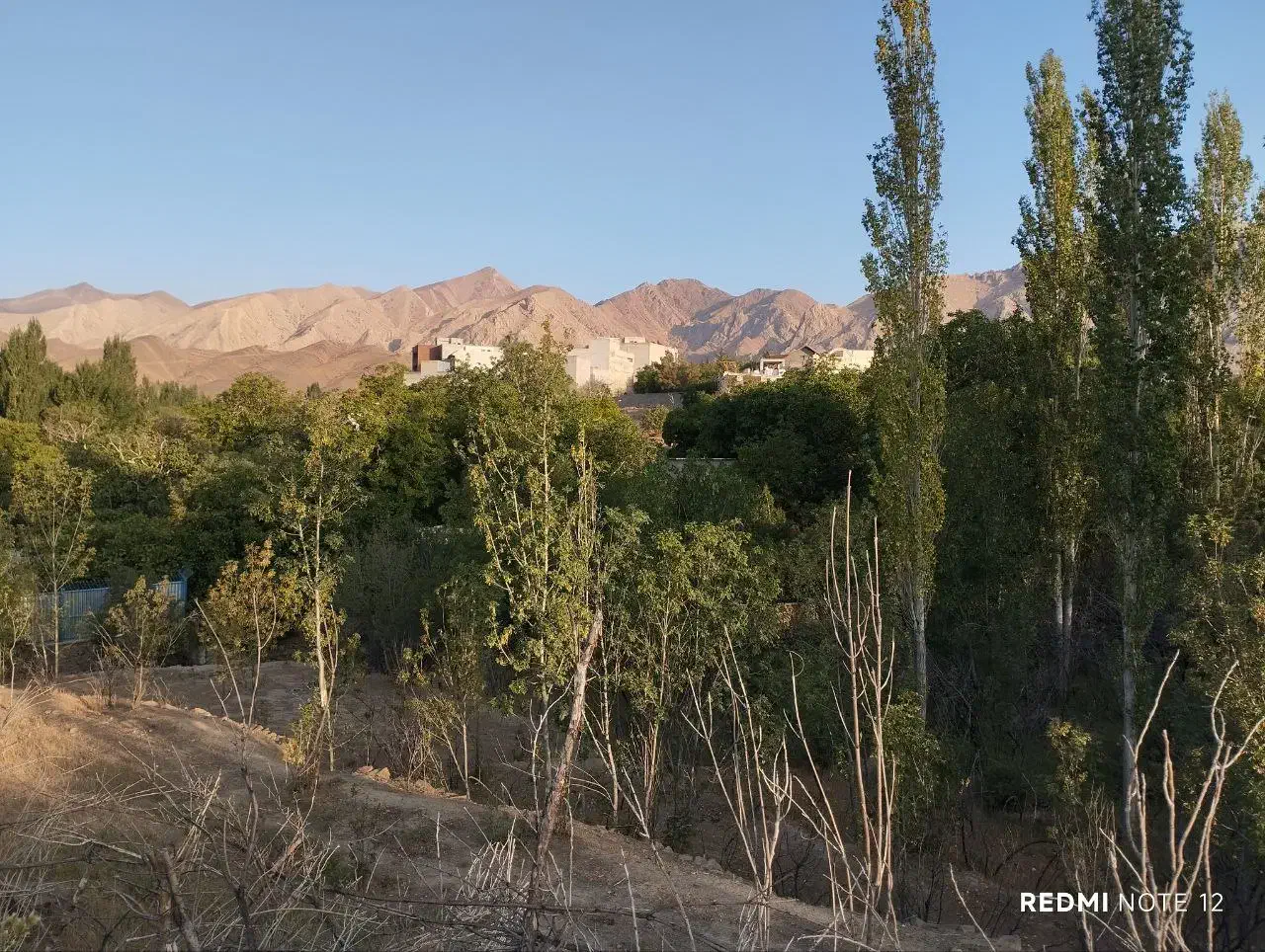 فرصت طلایی خرید باغ خوشمنظره در شهمیرزاد|فروش زمین و ملک کلنگی|شهمیرزاد, |دیوار