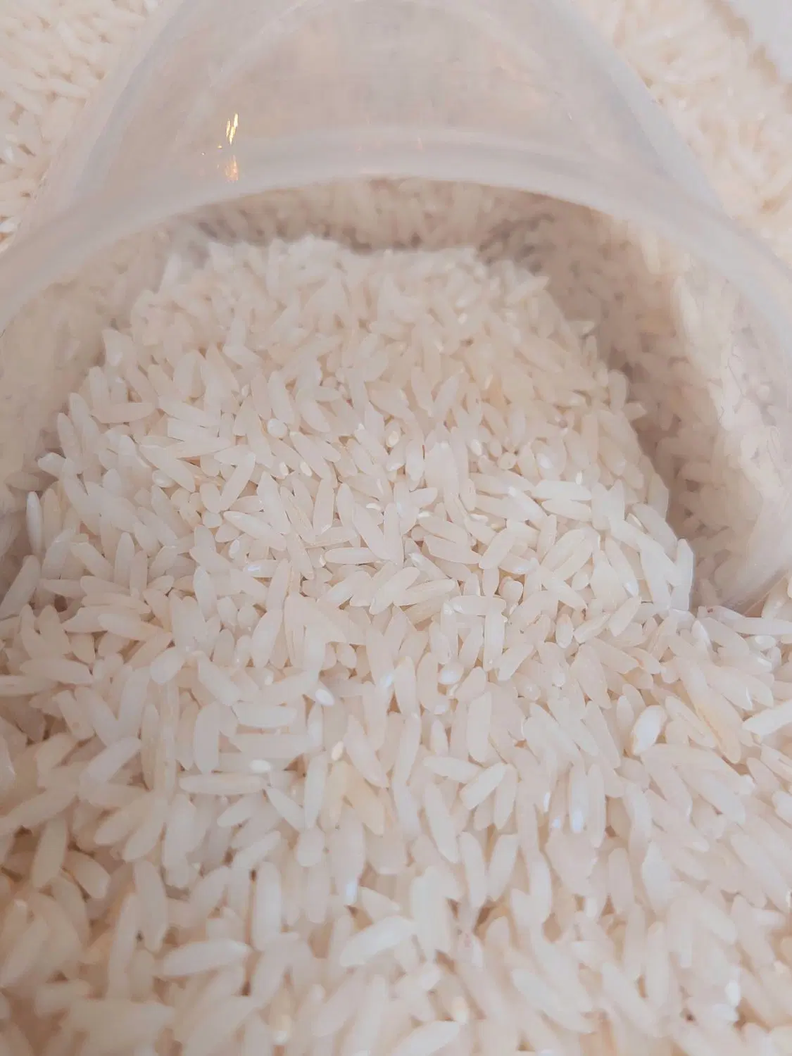 برنج طارم مجلسی کشت جدید با تحویل رایگان در تهران|خوردنی و آشامیدنی|تهران, امانیه|دیوار