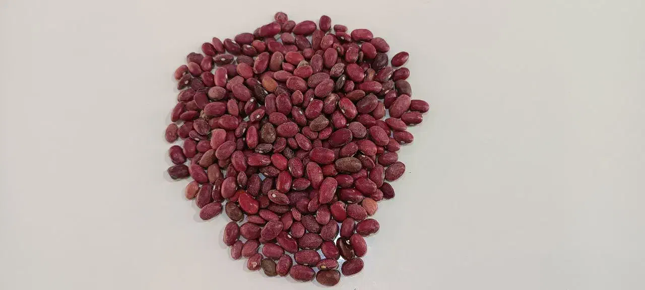 لوبیا قرمز|عمدهفروشی|پاسارگاد, |دیوار