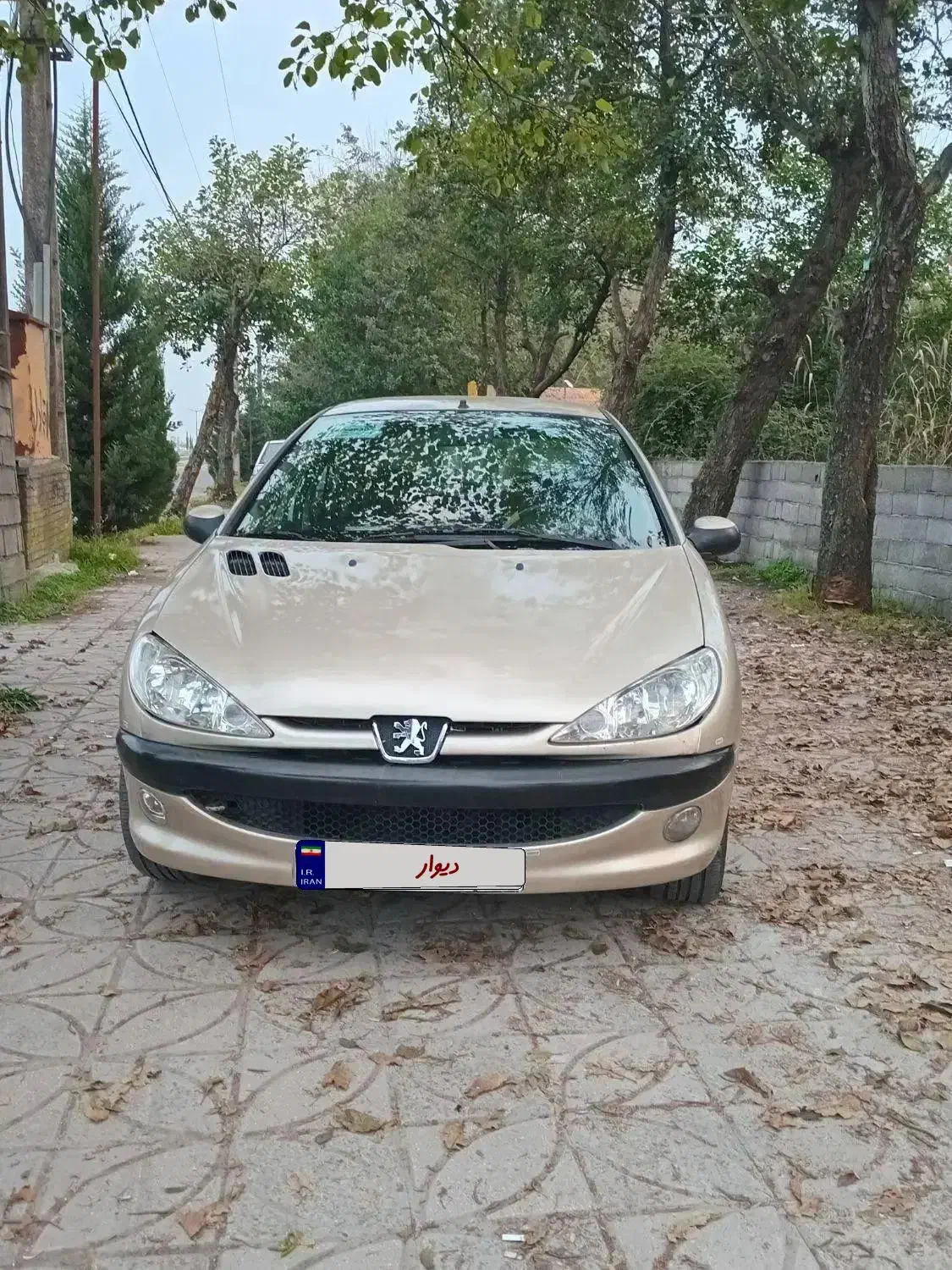 ۲۰۶ مدل ۸۳ شاسی پلمپ|خودرو سواری و وانت|رودسر, |دیوار