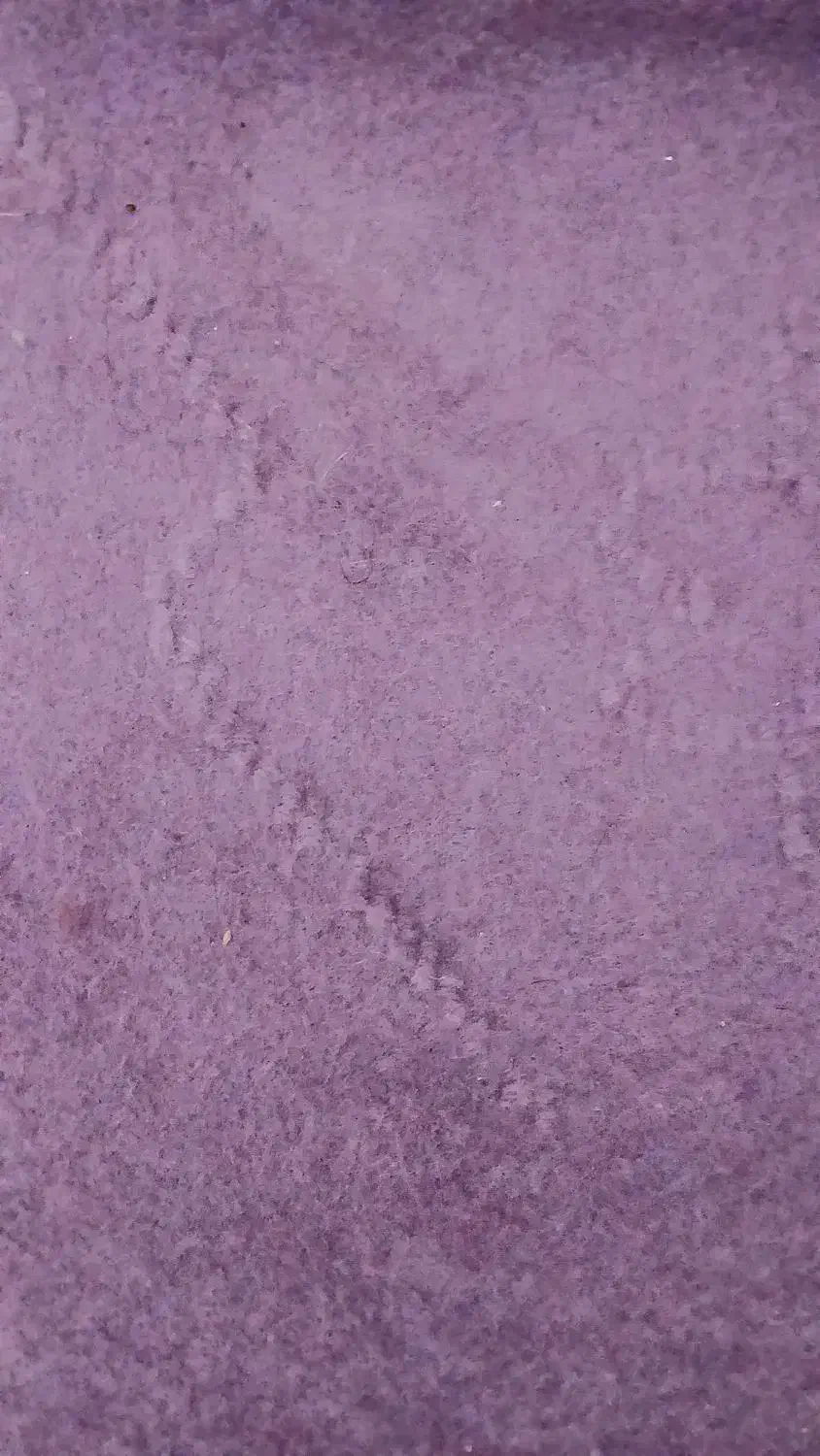 دو رنگ موکت کاملا جنس خوب|موکت|تبریز, |دیوار