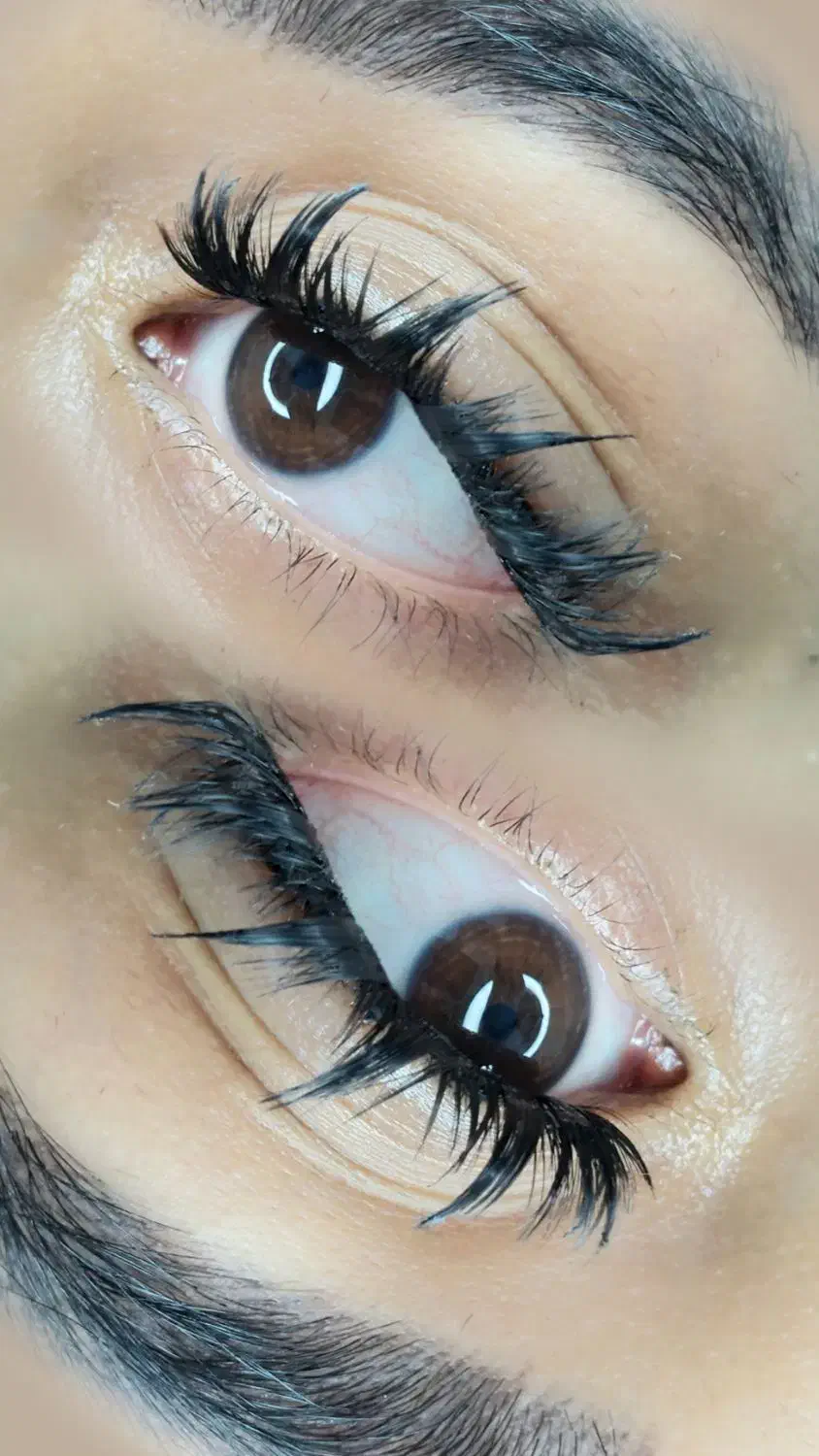 خدمات و آموزش مژه (کاشت هیدن)|خدمات آرایشگری و زیبایی|تهران, مسعودیه|دیوار