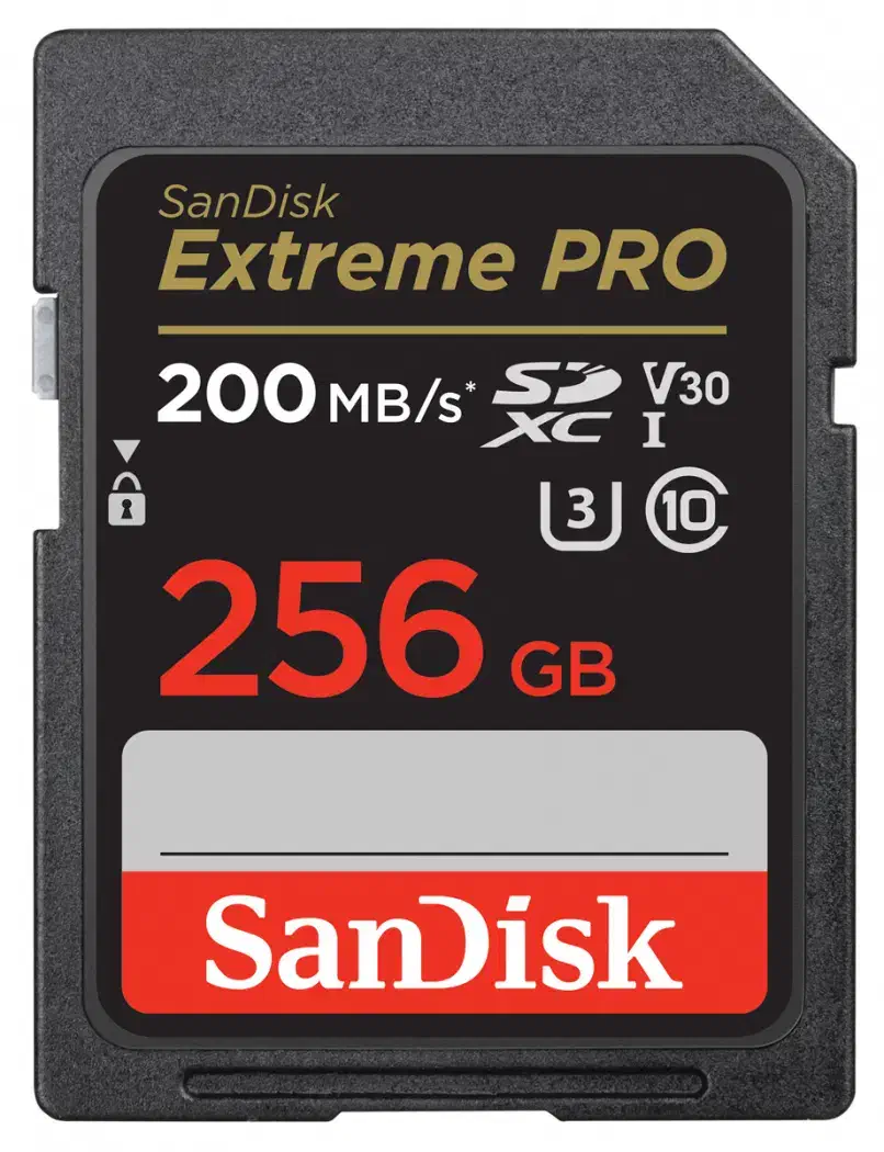 رم Sandisk 256 (سن دیسک 256 گیگابایت)|صوتی و تصویری|تهران, باغ خزانه|دیوار