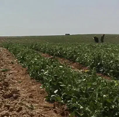 فروش زمین و اب کشاورزی|فروش دفتر صنعتی، کشاورزی، تجاری|خرمدشت, |دیوار