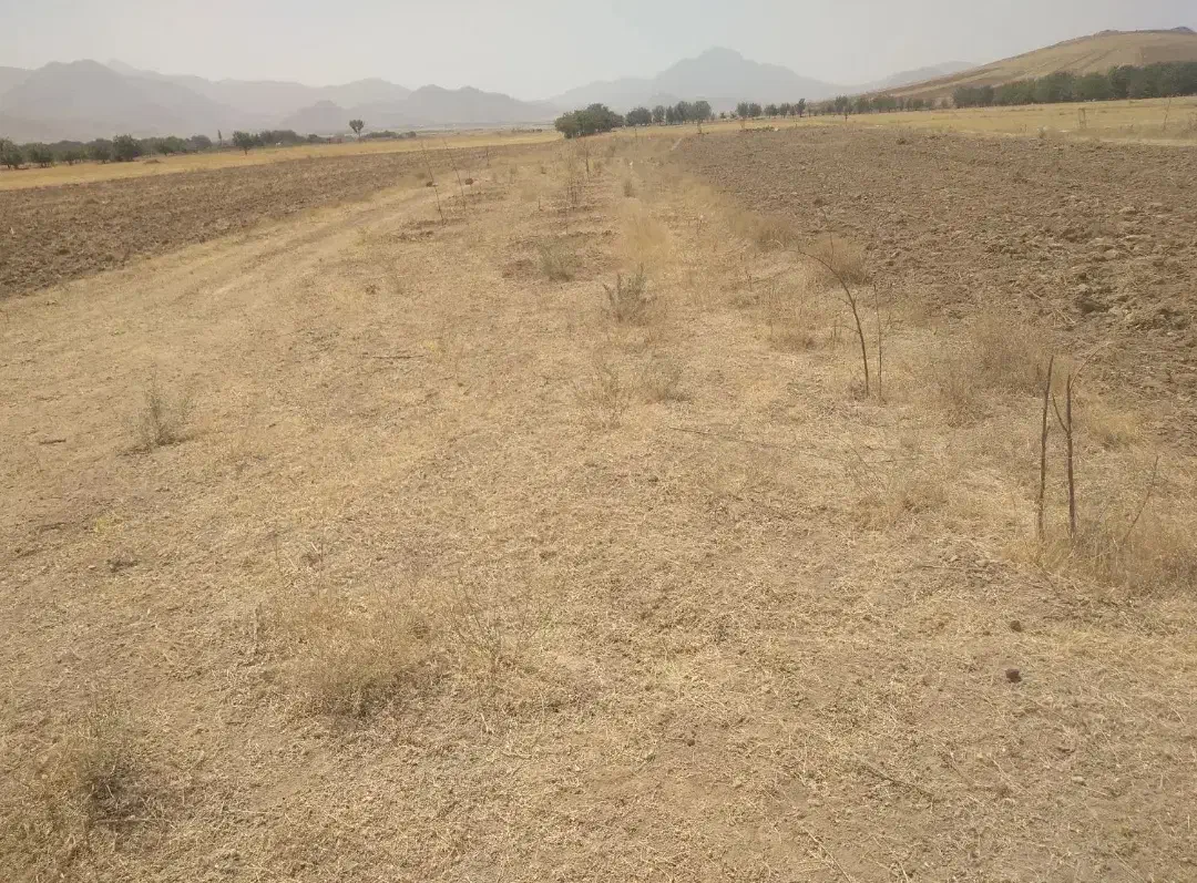 فروش زمین دیم سه هزار متری مناسب|فروش دفتر صنعتی، کشاورزی، تجاری|همدان, |دیوار