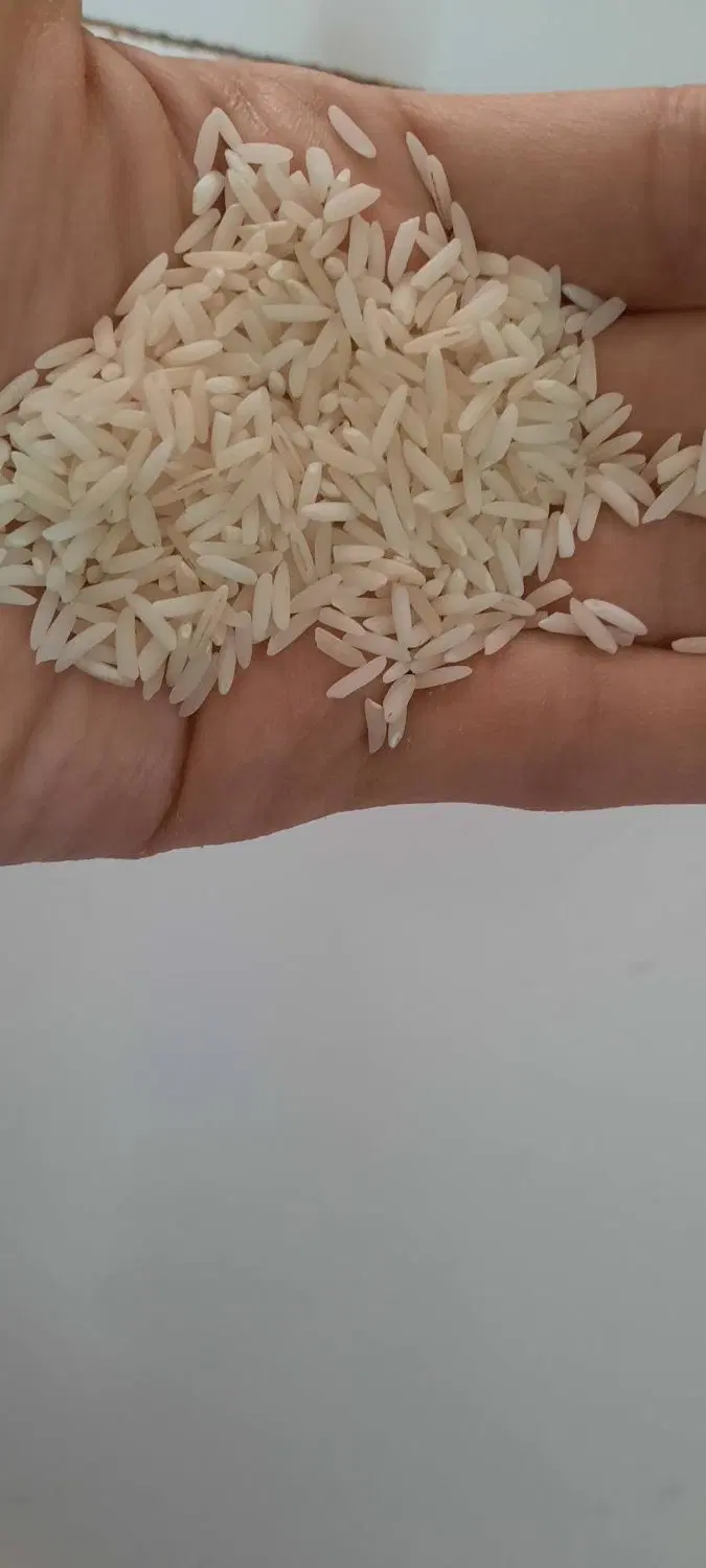 برنج طارمی هاشمی|خوردنی و آشامیدنی|تهران, هاشمآباد (شهرری)|دیوار
