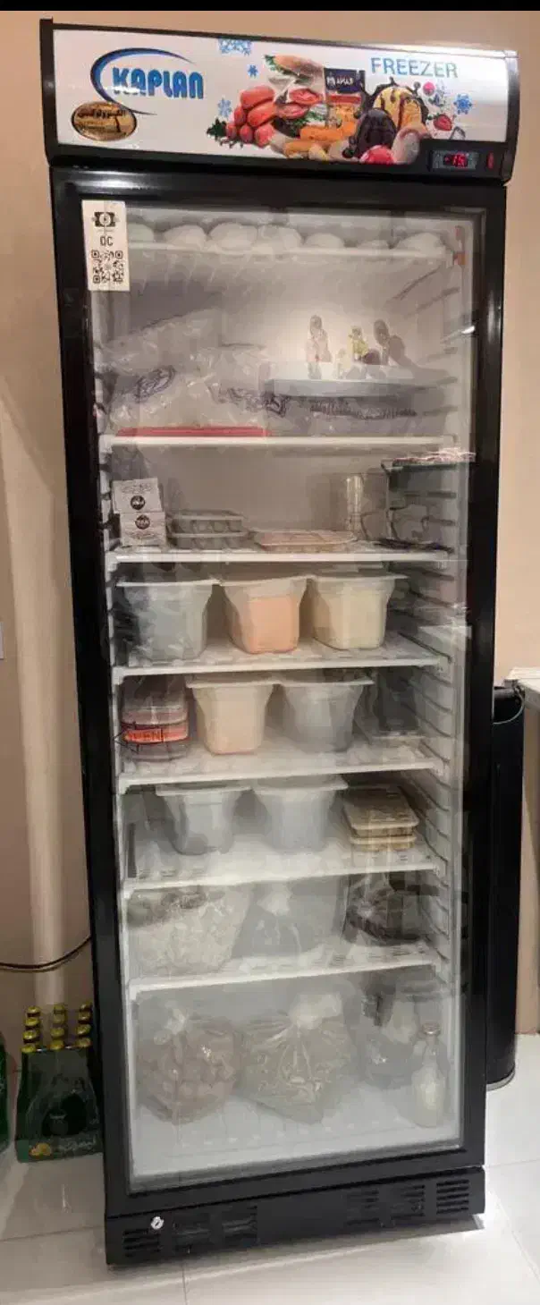 فریزر استاده صنعتی|یخچال و فریزر|بندرعباس, |دیوار