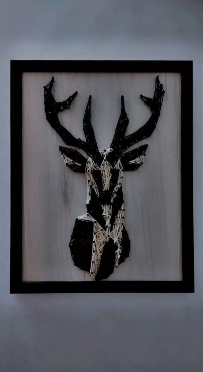 تابلو چوب و نخ کار دست|تابلو، نقاشی، عکس|سبزوار, جوادیه شرقی|دیوار