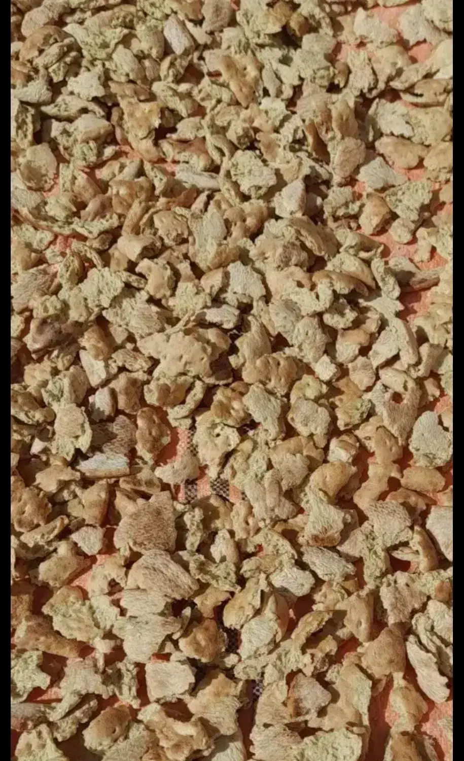 نان خشک تمیز وبدون اشغال|لوازم جانبی حیوانات|گناباد, |دیوار