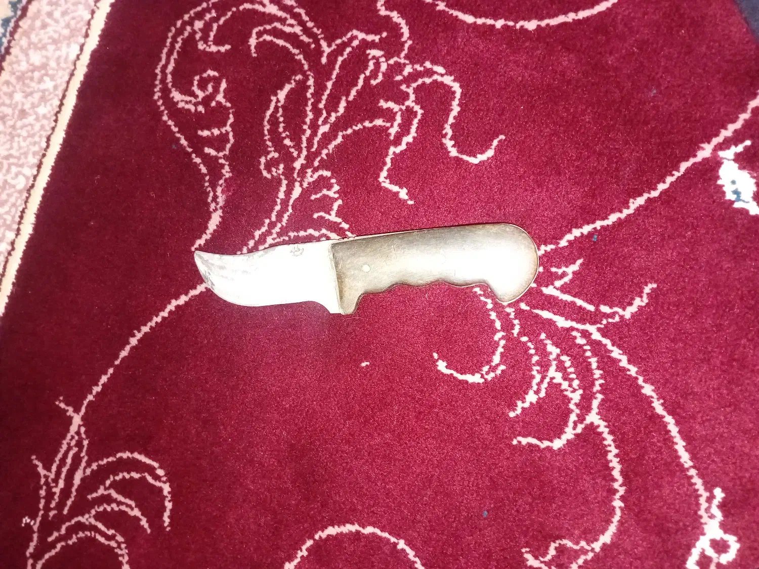 ممد طلا|کوهنوردی و کمپینگ|کبودرآهنگ, |دیوار