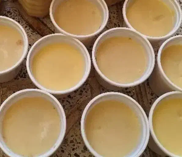 روغن حیوانی خر اصل تضمینی درمان شکستگی ترک کمر درد|خوردنی و آشامیدنی|خرمدره, |دیوار