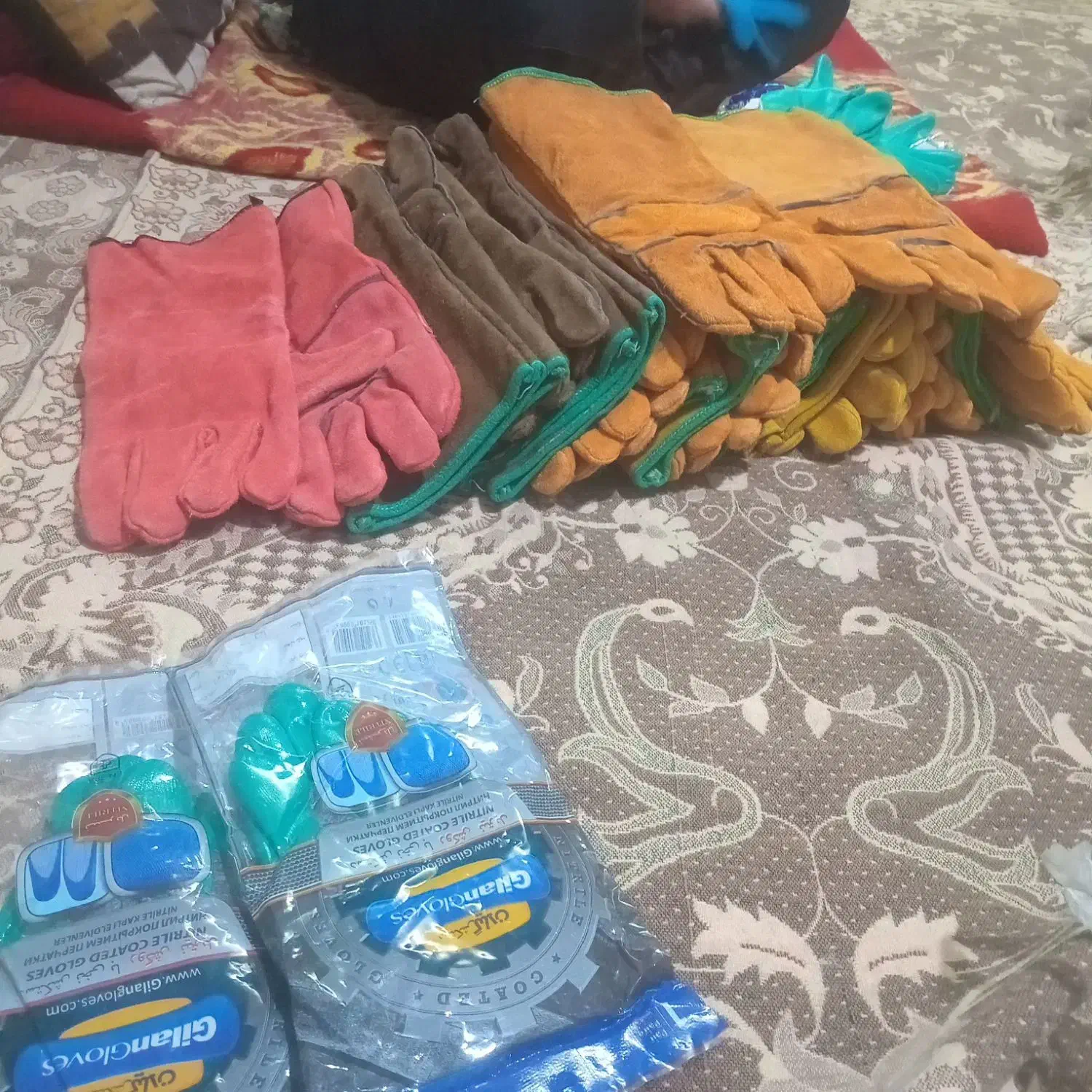 دستکش چرم|لباس|بشاریات, |دیوار