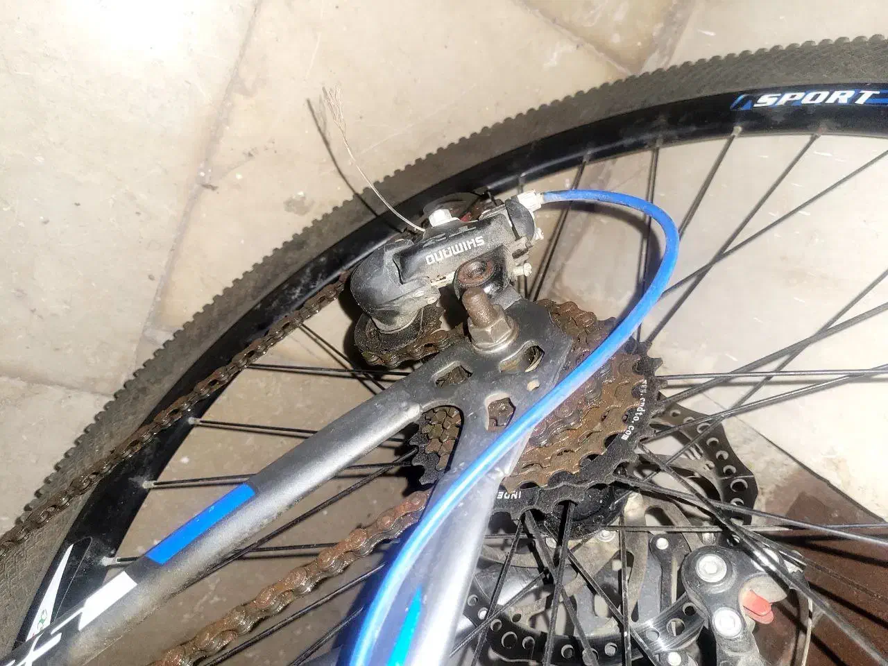 دوچرخه اصلی ۲۶ کوهستانی Aster|دوچرخه، اسکیت، اسکوتر|شیراز, شهرک سراج|دیوار