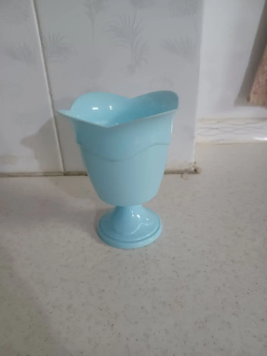 گلدان پلاستیکی|گل و گیاه طبیعی|اصفهان, طاحونه|دیوار